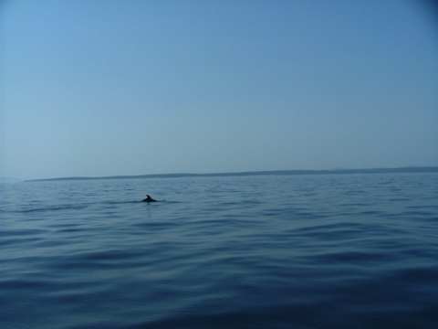 sommer2005-0314.jpg