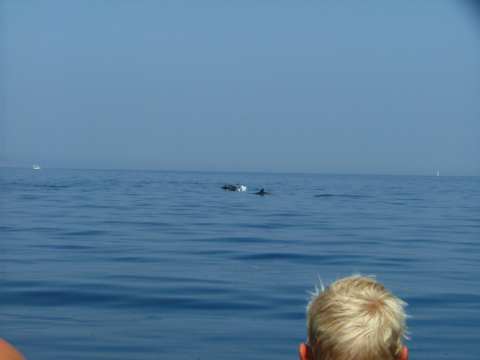 sommer2005-0318.jpg