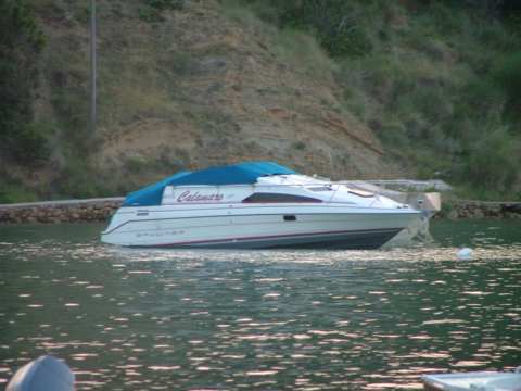 sommer2005-0480.jpg