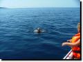sommer2005-0279.jpg