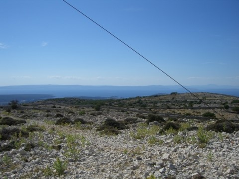 2006-07-16-0221.jpg