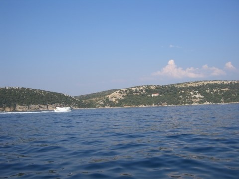2006-07-22-0533.jpg