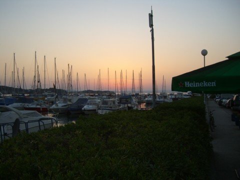 cimg0580.jpg