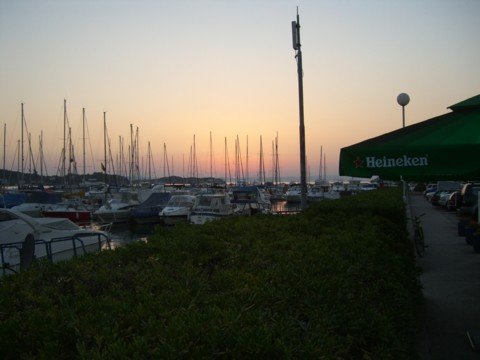 cimg0583.jpg