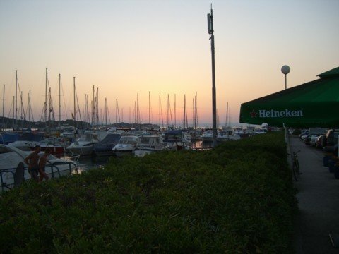 cimg0584.jpg