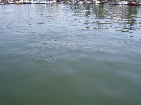 cimg0587.jpg
