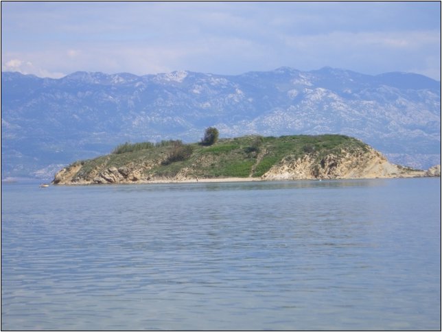 200805120033188.jpg