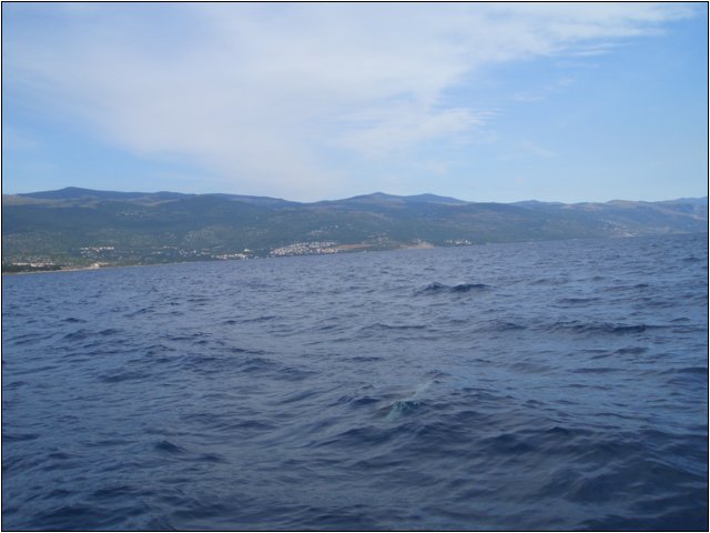 cimg5081.jpg