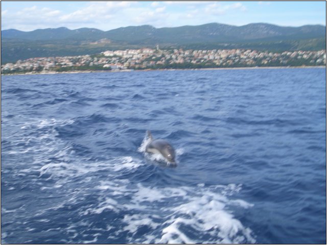 cimg5084.jpg