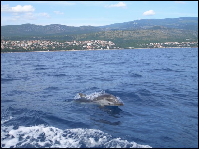 cimg5086.jpg
