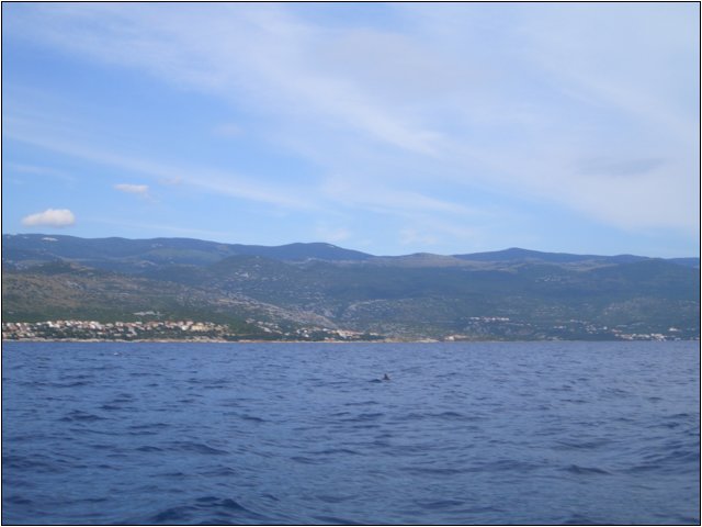 cimg5089.jpg