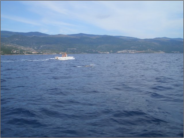 cimg5090.jpg