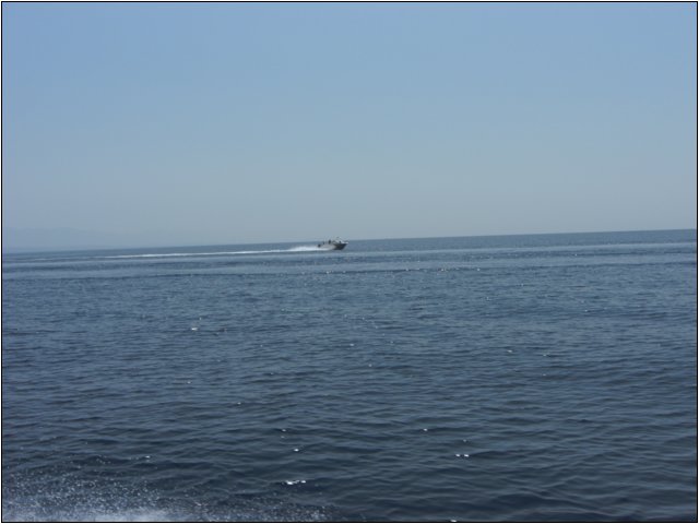 cimg0250.jpg