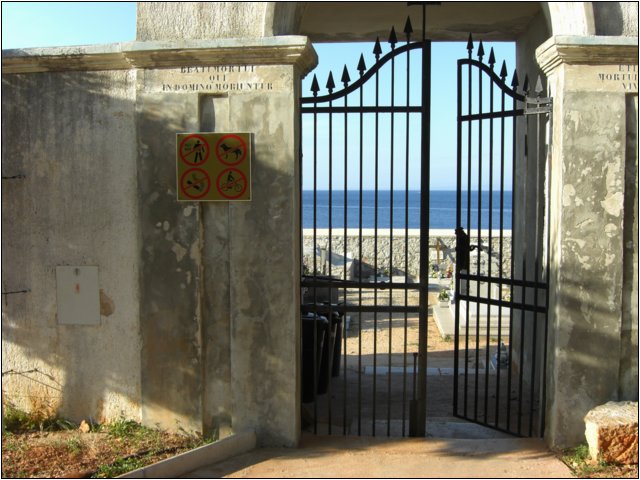 cimg0313.jpg