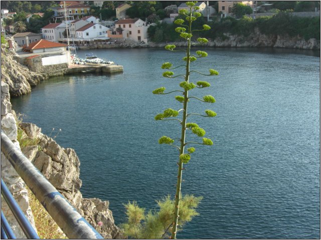 cimg0317.jpg