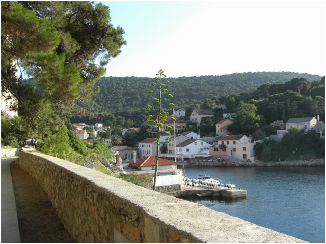 cimg0318.jpg