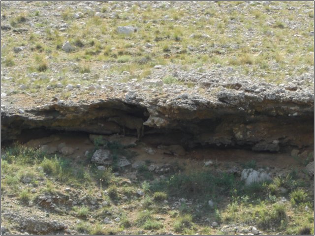 cimg0358.jpg