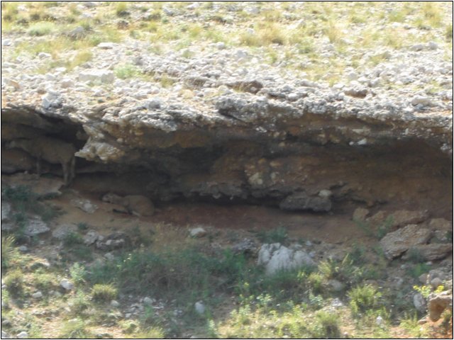 cimg0359.jpg