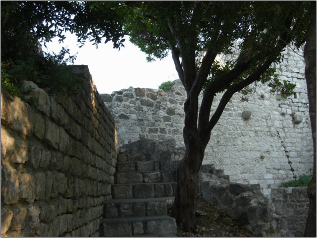 cimg0379.jpg