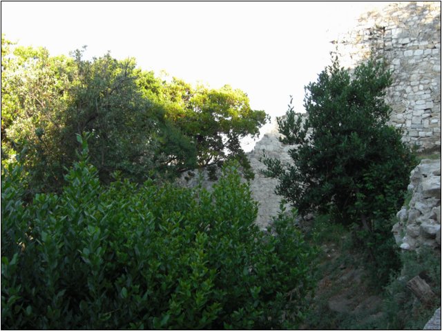 cimg0385.jpg
