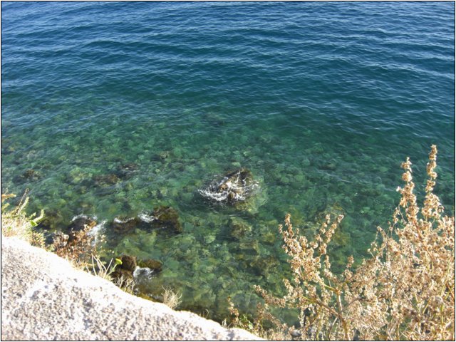 cimg0390.jpg