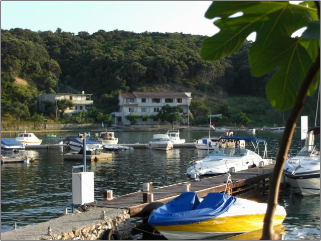 cimg0415.jpg
