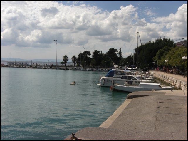 cimg0484.jpg