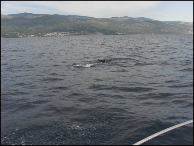 cimg0508.jpg