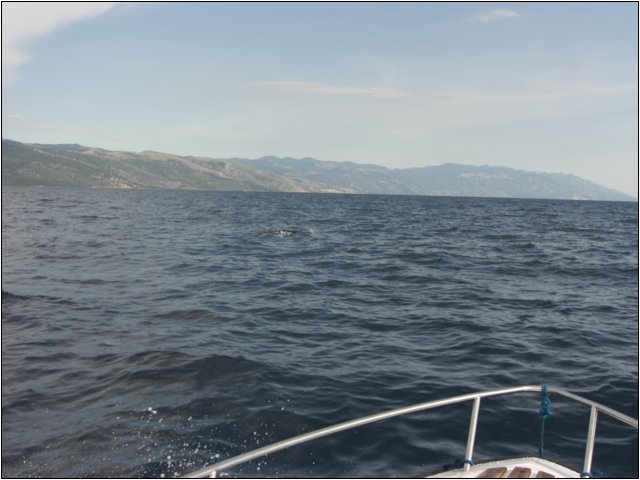 cimg0510.jpg