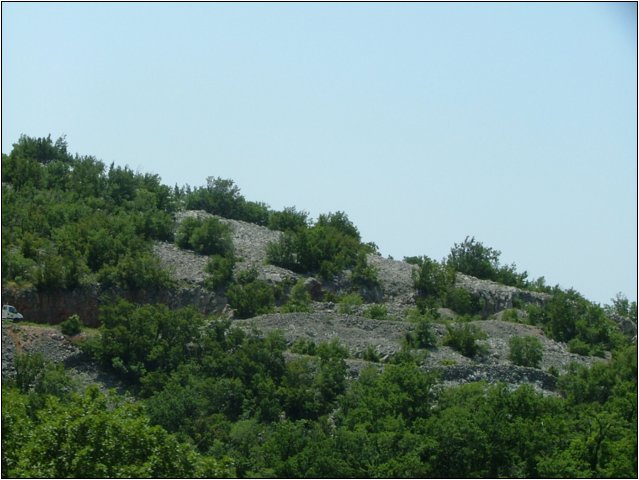 dscf6101.jpg