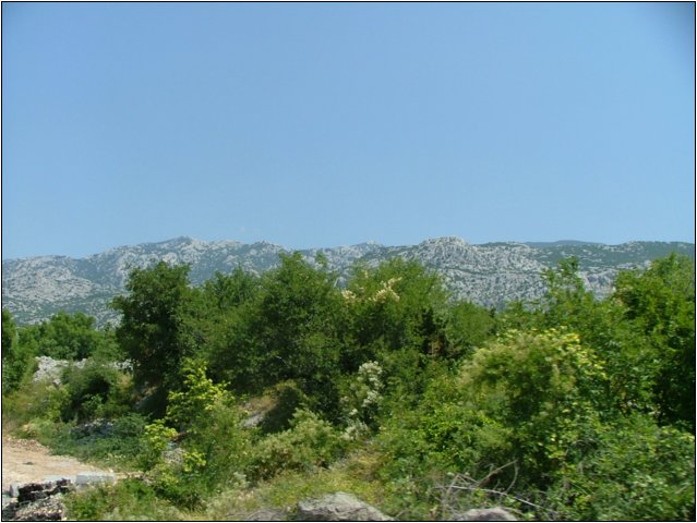 dscf6109.jpg