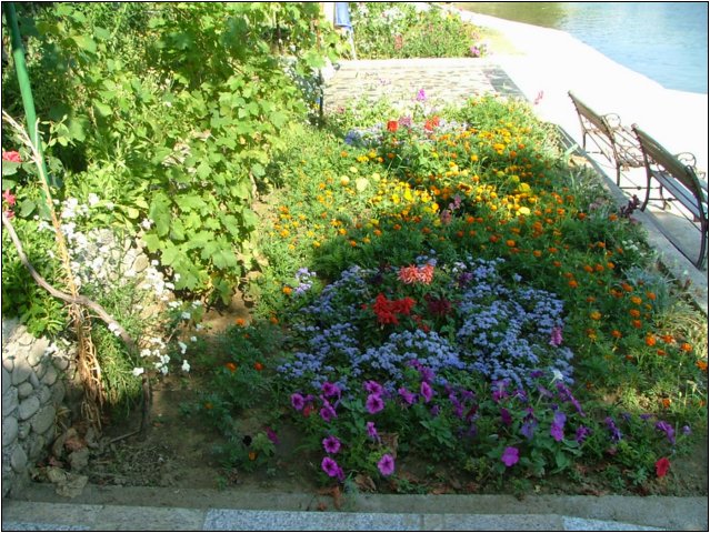 dscf6131.jpg