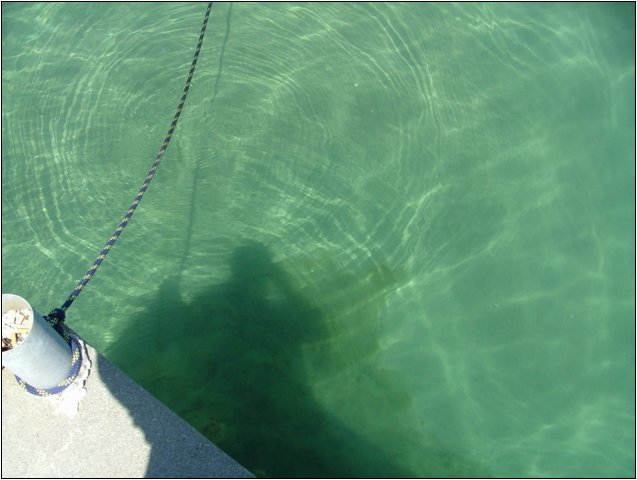 dscf6200.jpg
