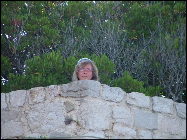dscf6281.jpg