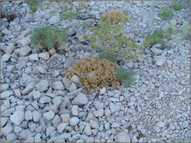 dscf6289.jpg