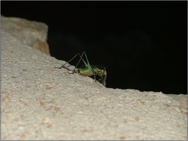 dscf6304.jpg