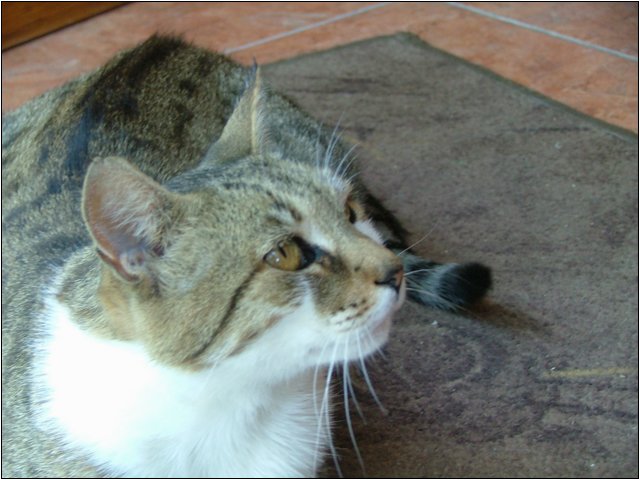 dscf6361.jpg