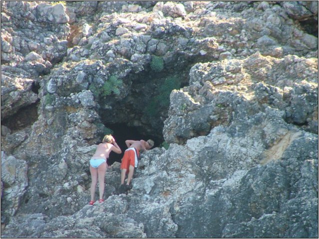 dscf6377.jpg