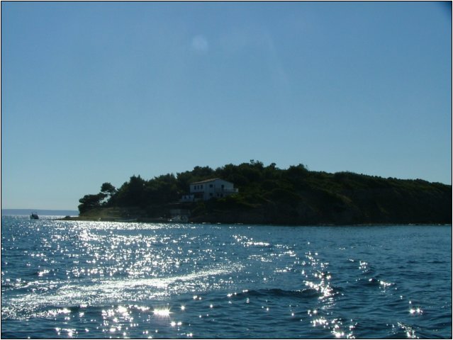 dscf6463.jpg