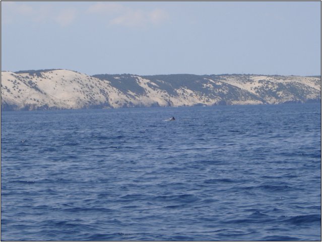 dsc03307.jpg