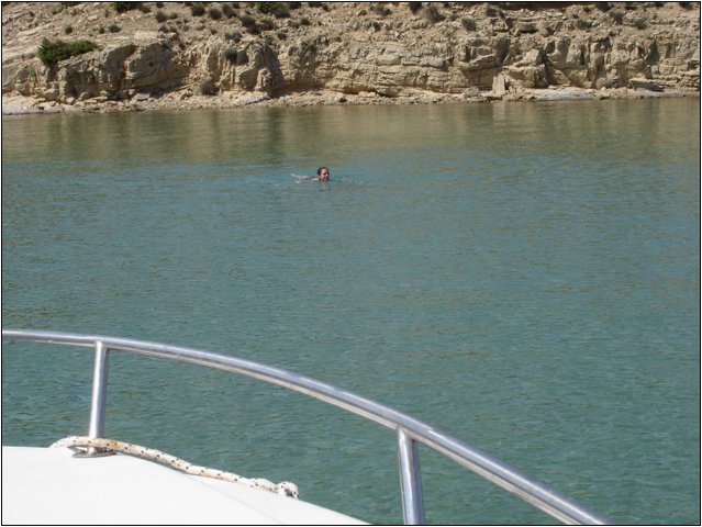 dsc03320.jpg