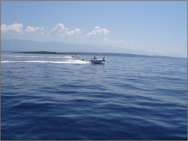 dsc03338.jpg