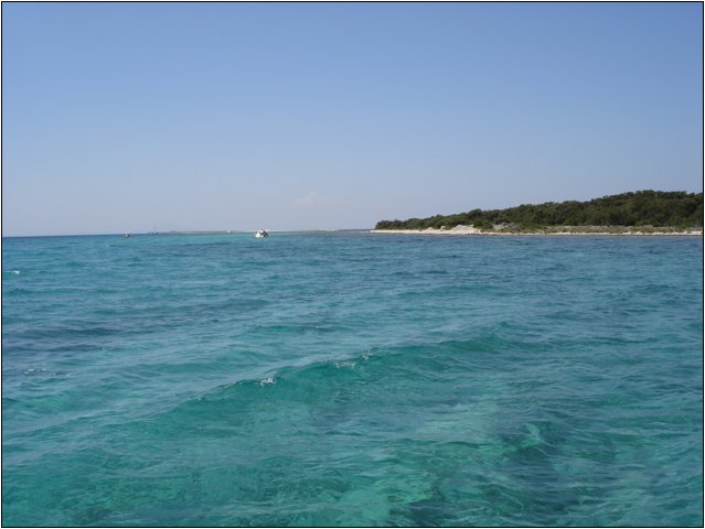 dsc03342.jpg