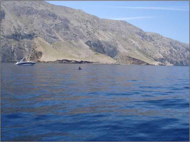 dsc03394.jpg