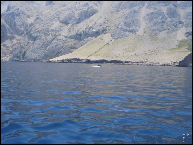 dsc03411.jpg