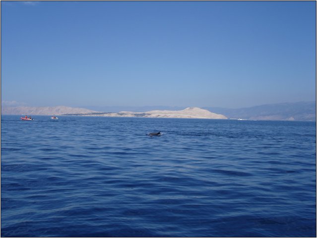 dsc03422.jpg