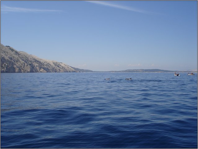 dsc03424.jpg