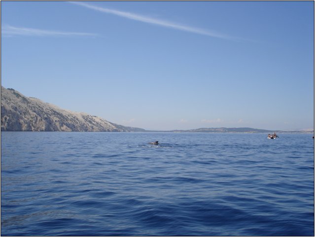 dsc03425.jpg