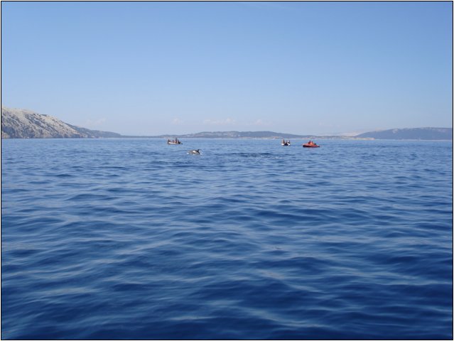 dsc03428.jpg