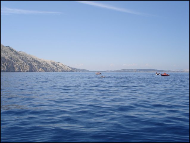 dsc03429.jpg